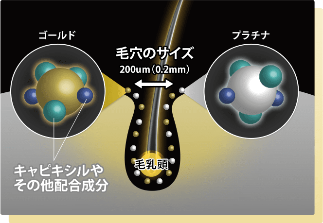 the-scalp-5.0c-wnano